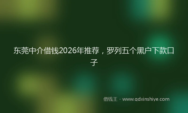 东莞中介借钱2026年推荐,罗列五个黑户下款口子