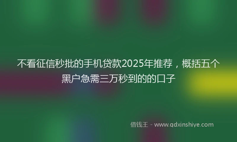 不看征信秒批的手机贷款2025年推荐,概括五个黑户急需三万秒到的的口子