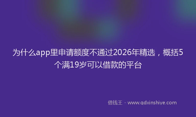 为什么app里申请额度不通过2026年精选，概括5个满19岁可以借款的平台