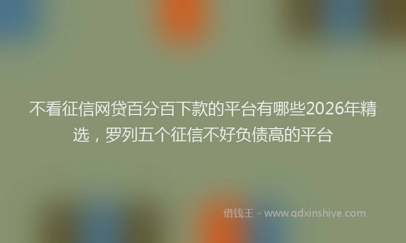 不看征信网贷百分百下款的平台有哪些2026年精选，罗列五个征信不好负债高的平台