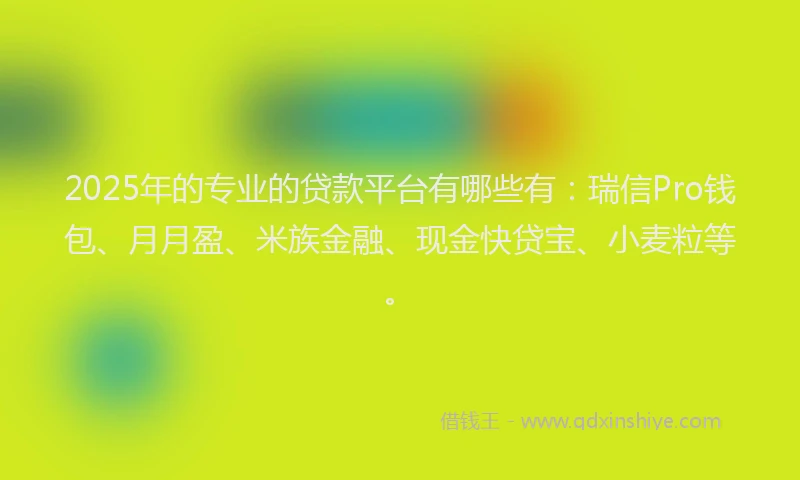 2025年的专业的贷款平台有哪些有：瑞信Pro钱包、月月盈、米族金融、现金快贷宝、小麦粒等。