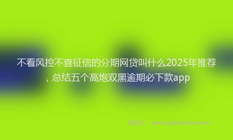 不看风控不查征信的分期网贷叫什么2025年推荐，总结五个高炮双黑逾期必下款app