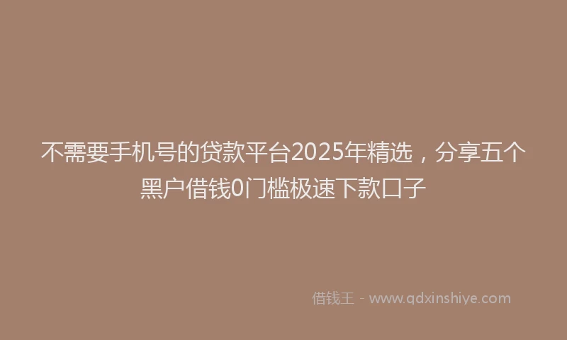 不需要手机号的贷款平台2025年精选,分享五个黑户借钱0门槛极速下款口子