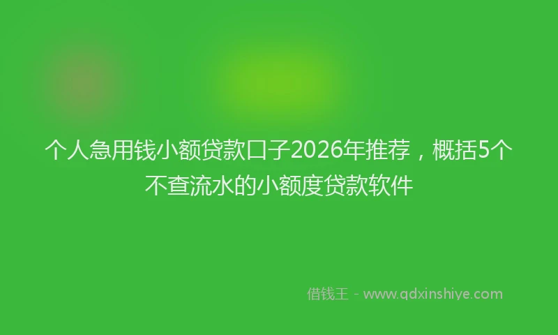 个人急用钱小额贷款口子2026年推荐，概括5个不查流水的小额度贷款软件