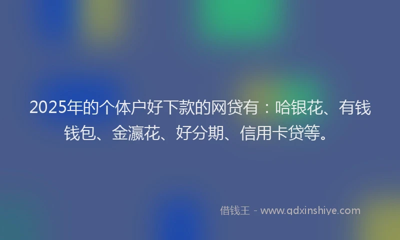 2025年的个体户好下款的网贷有：哈银花、有钱钱包、金瀛花、好分期、信用卡贷等。