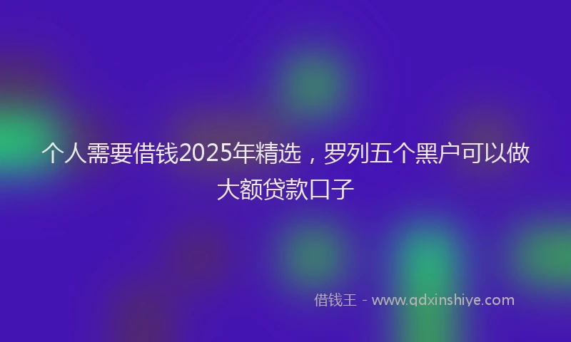 个人需要借钱2025年精选,罗列五个黑户可以做大额贷款口子