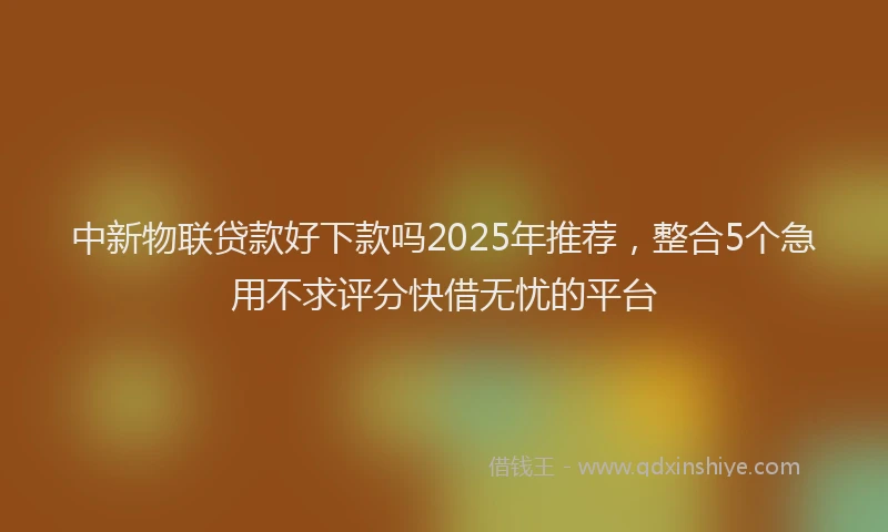 中新物联贷款好下款吗2025年推荐，整合5个急用不求评分快借无忧的平台