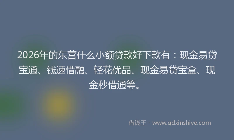 2026年的东营什么小额贷款好下款有:现金易贷宝通、钱速借融、轻花优品、现金易贷宝盒、现金秒借通等。