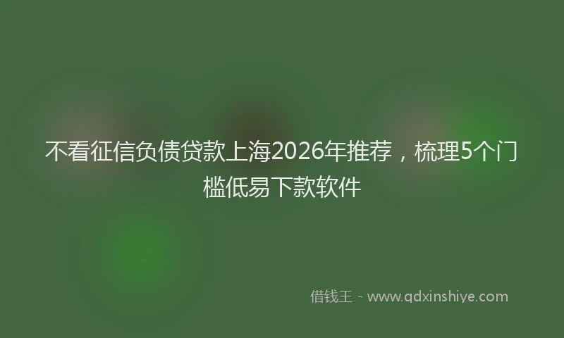 不看征信负债贷款上海2026年推荐，梳理5个门槛低易下款软件