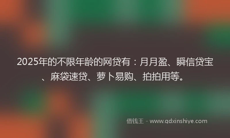 2025年的不限年龄的网贷有：月月盈、瞬信贷宝、麻袋速贷、萝卜易购、拍拍用等。