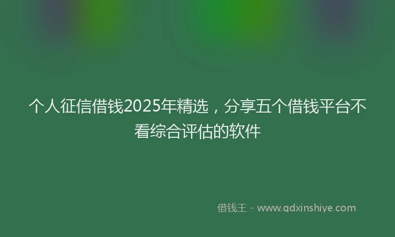 个人征信借钱2025年精选，分享五个借钱平台不看综合评估的软件