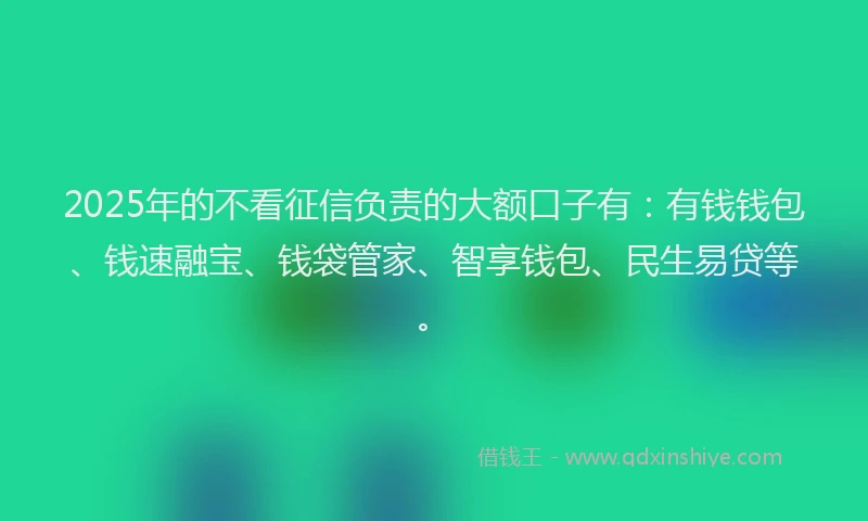 2025年的不看征信负责的大额口子有：有钱钱包、钱速融宝、钱袋管家、智享钱包、民生易贷等。