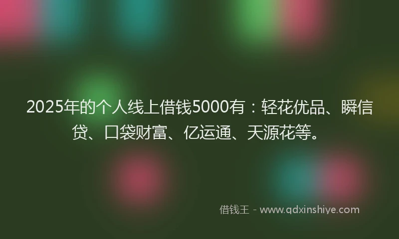2025年的个人线上借钱5000有：轻花优品、瞬信贷、口袋财富、亿运通、天源花等。
