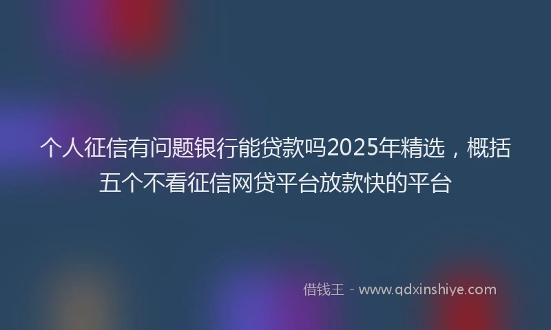 个人征信有问题银行能贷款吗2025年精选，概括五个不看征信网贷平台放款快的平台