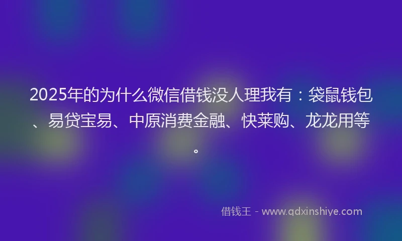 2025年的为什么微信借钱没人理我有：袋鼠钱包、易贷宝易、中原消费金融、快莱购、龙龙用等。
