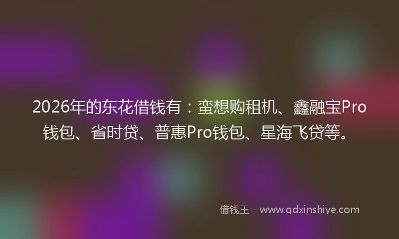 2026年的东花借钱有:蛮想购租机、鑫融宝Pro钱包、省时贷、普惠Pro钱包、星海飞贷等。