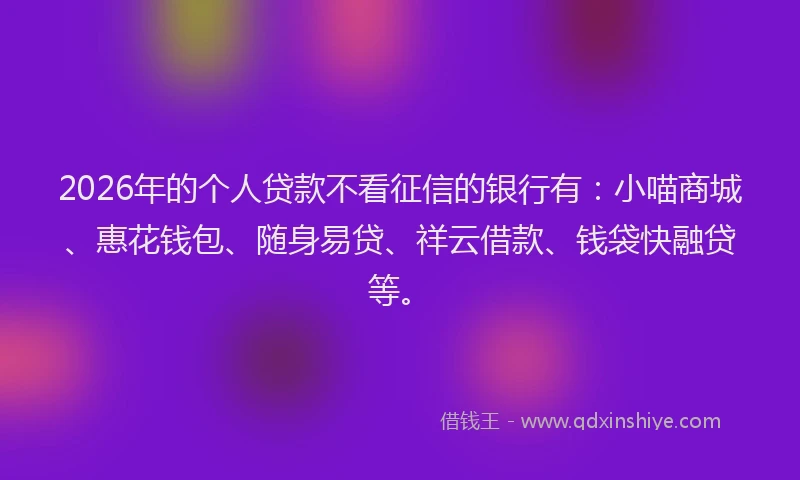2026年的个人贷款不看征信的银行有：小喵商城、惠花钱包、随身易贷、祥云借款、钱袋快融贷等。
