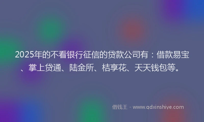 2025年的不看银行征信的贷款公司有：借款易宝、掌上贷通、陆金所、桔享花、天天钱包等。