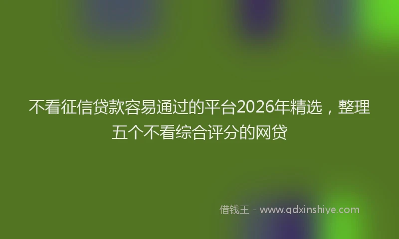 不看征信贷款容易通过的平台2026年精选，整理五个不看综合评分的网贷