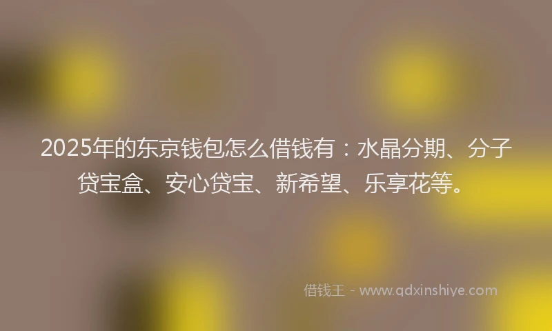 2025年的东京钱包怎么借钱有:水晶分期、分子贷宝盒、安心贷宝、新希望、乐享花等。