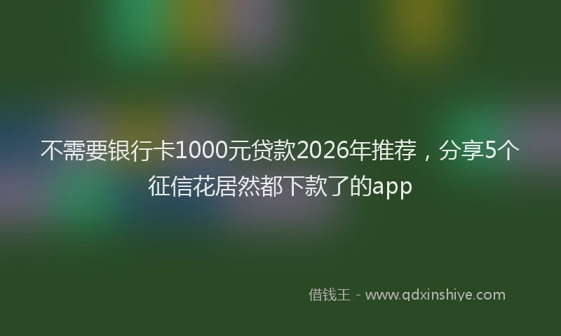 不需要银行卡1000元贷款2026年推荐，分享5个征信花居然都下款了的app