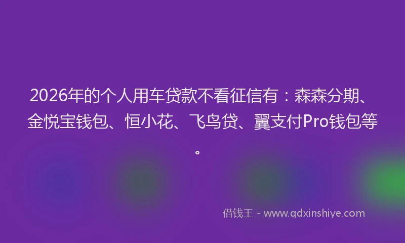 2026年的个人用车贷款不看征信有:森森分期、金悦宝钱包、恒小花、飞鸟贷、翼支付Pro钱包等。