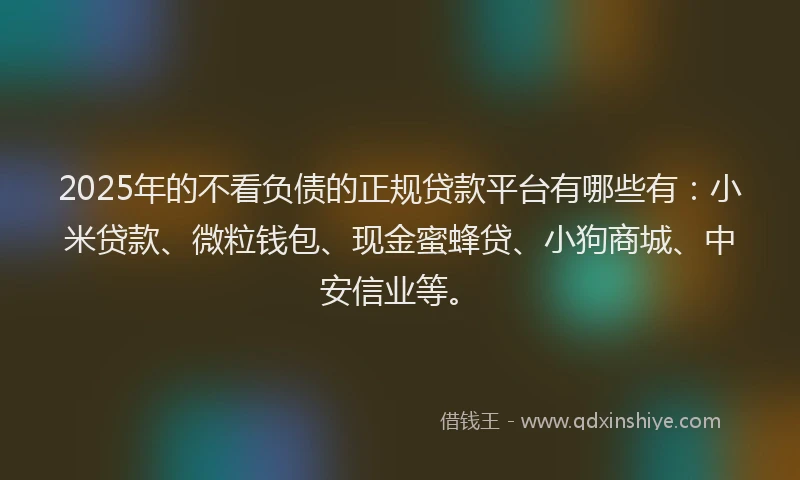 2025年的不看负债的正规贷款平台有哪些有：小米贷款、微粒钱包、现金蜜蜂贷、小狗商城、中安信业等。
