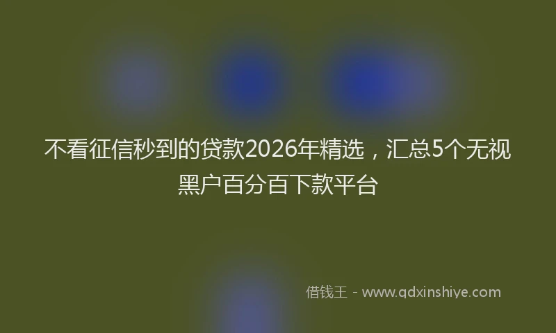 不看征信秒到的贷款2026年精选，汇总5个无视黑户百分百下款平台