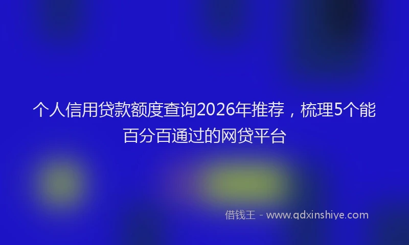 个人信用贷款额度查询2026年推荐，梳理5个能百分百通过的网贷平台
