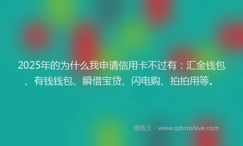 2025年的为什么我申请信用卡不过有：汇金钱包、有钱钱包、瞬借宝贷、闪电购、拍拍用等。