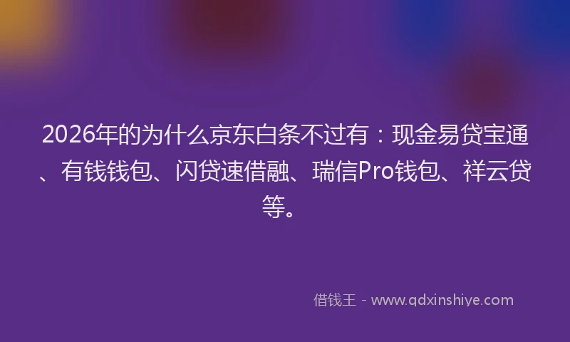 2026年的为什么京东白条不过有：现金易贷宝通、有钱钱包、闪贷速借融、瑞信Pro钱包、祥云贷等。