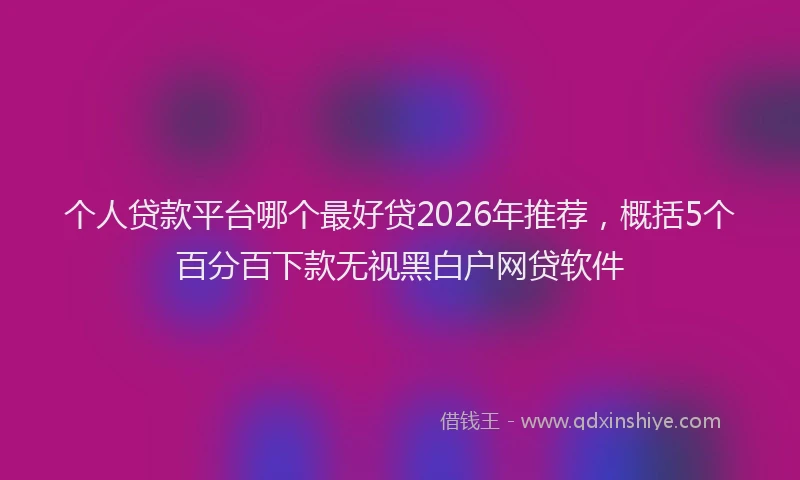 个人贷款平台哪个最好贷2026年推荐，概括5个百分百下款无视黑白户网贷软件