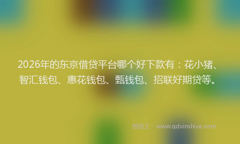 2026年的东京借贷平台哪个好下款有：花小猪、智汇钱包、惠花钱包、甄钱包、招联好期贷等。
