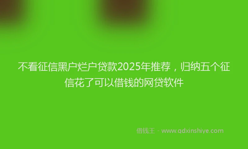 不看征信黑户烂户贷款2025年推荐，归纳五个征信花了可以借钱的网贷软件