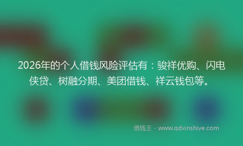 2026年的个人借钱风险评估有：骏祥优购、闪电侠贷、树融分期、美团借钱、祥云钱包等。