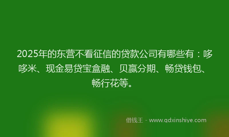 2025年的东营不看征信的贷款公司有哪些有：哆哆米、现金易贷宝盒融、贝赢分期、畅贷钱包、畅行花等。