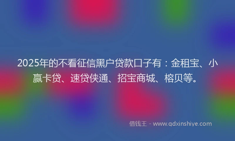 2025年的不看征信黑户贷款口子有：金租宝、小赢卡贷、速贷侠通、招宝商城、榕贝等。