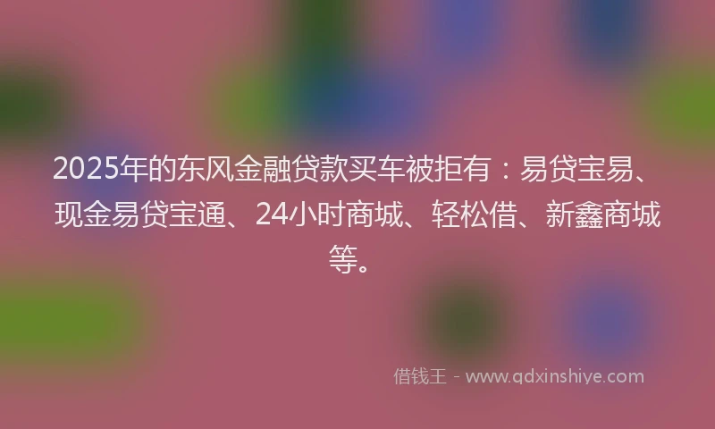 2025年的东风金融贷款买车被拒有：易贷宝易、现金易贷宝通、24小时商城、轻松借、新鑫商城等。