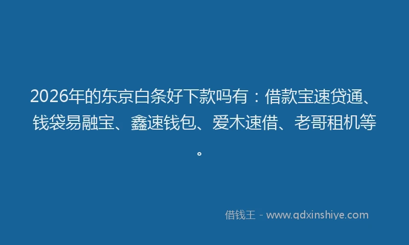 2026年的东京白条好下款吗有：借款宝速贷通、钱袋易融宝、鑫速钱包、爱木速借、老哥租机等。