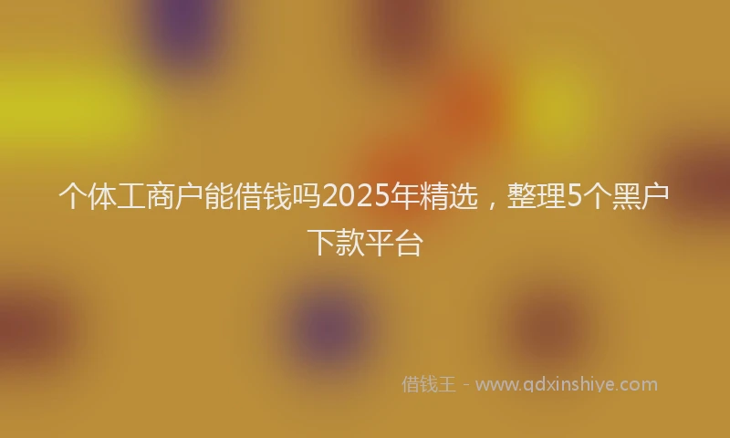 个体工商户能借钱吗2025年精选，整理5个黑户下款平台