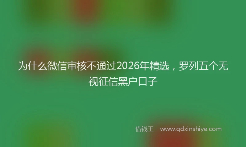 为什么微信审核不通过2026年精选，罗列五个无视征信黑户口子