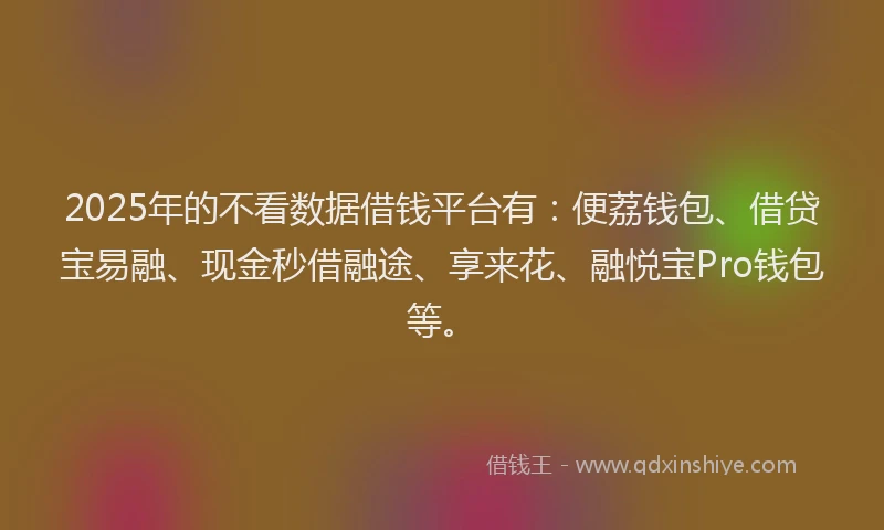 2025年的不看数据借钱平台有：便荔钱包、借贷宝易融、现金秒借融途、享来花、融悦宝Pro钱包等。