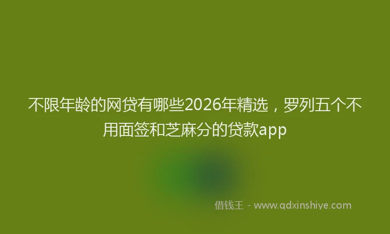 不限年龄的网贷有哪些2026年精选，罗列五个不用面签和芝麻分的贷款app