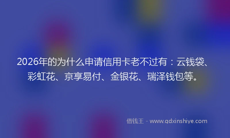2026年的为什么申请信用卡老不过有：云钱袋、彩虹花、京享易付、金银花、瑞泽钱包等。