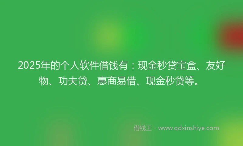 2025年的个人软件借钱有：现金秒贷宝盒、友好物、功夫贷、惠商易借、现金秒贷等。