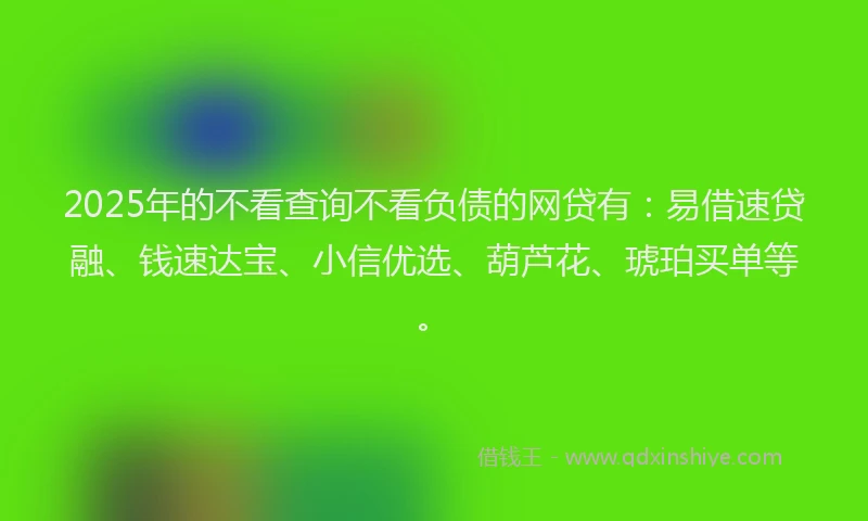 2025年的不看查询不看负债的网贷有：易借速贷融、钱速达宝、小信优选、葫芦花、琥珀买单等。