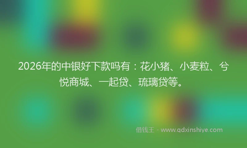 2026年的中银好下款吗有:花小猪、小麦粒、兮悦商城、一起贷、琉璃贷等。