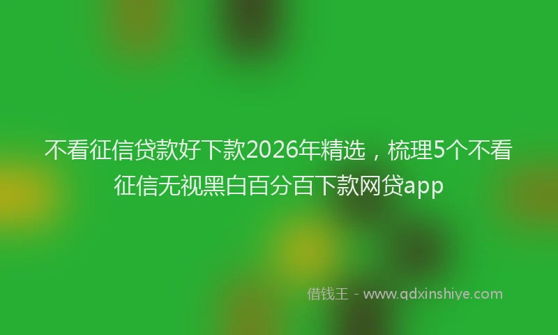 不看征信贷款好下款2026年精选，梳理5个不看征信无视黑白百分百下款网贷app