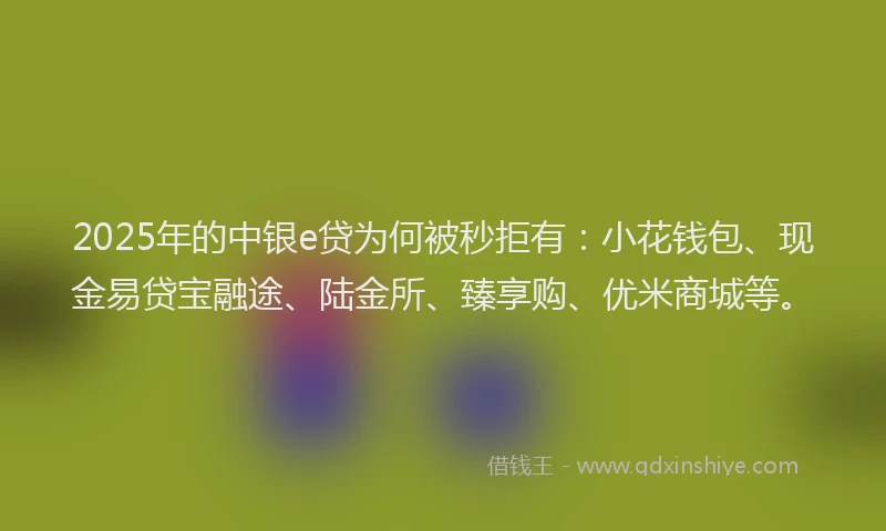 2025年的中银e贷为何被秒拒有:小花钱包、现金易贷宝融途、陆金所、臻享购、优米商城等。