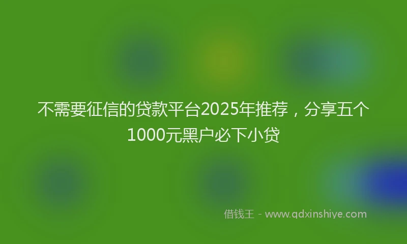 不需要征信的贷款平台2025年推荐，分享五个1000元黑户必下小贷